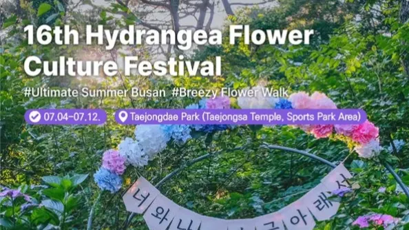 16th Hydrangea Flower Culture Festival