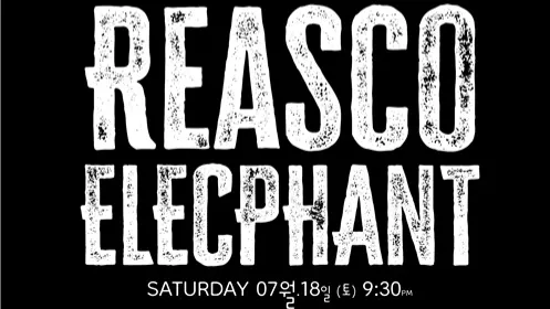 Reasco & Elecphant - Live Music