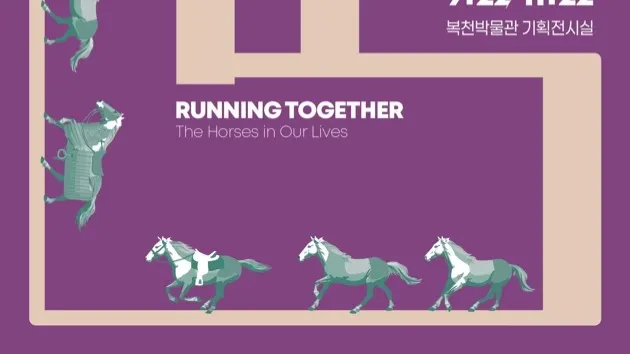 Running Together: The Horses in Our Lives
