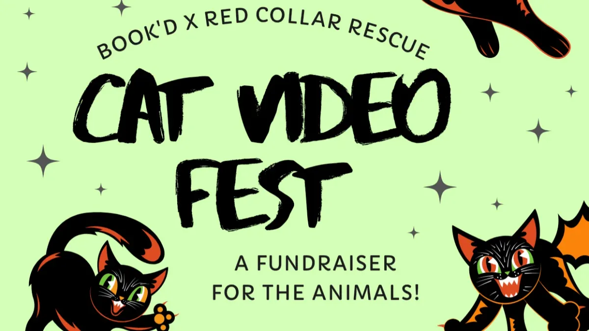 Cat Video Fest
