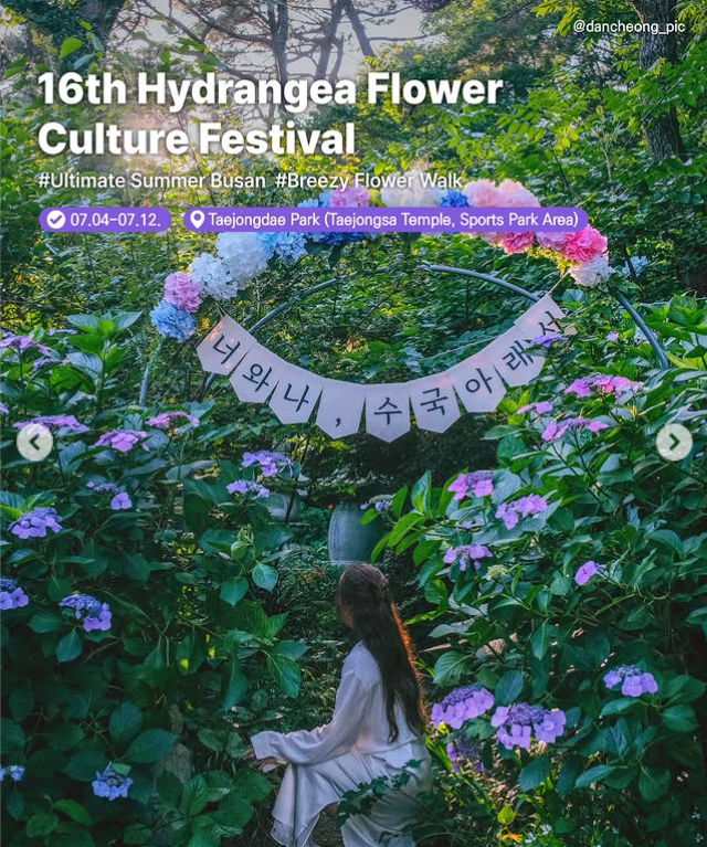 16th Hydrangea Flower Culture Festival, full event poster