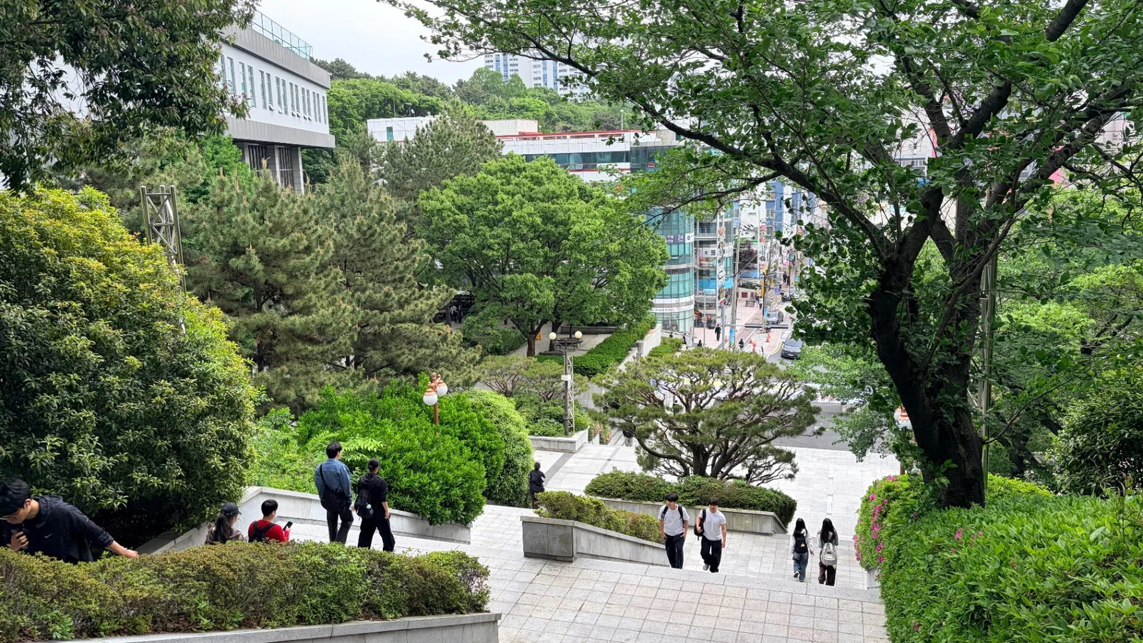 View from the Dong-A campus down toward the surrounding Busan neighborhood